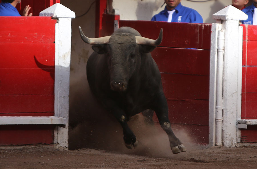 Aguascalientes, viernes 3 de mayo de 2019