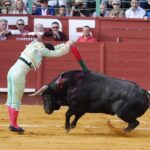 Jerez, viernes 17 de mayo de 2019