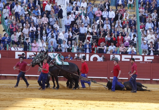Jerez, viernes 17 de mayo de 2019
