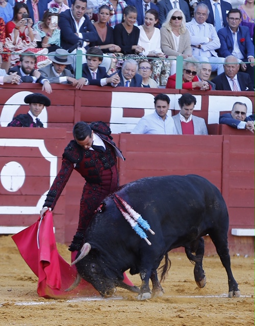 Jerez, viernes 17 de mayo de 2019