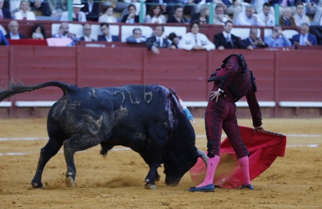 Jerez, viernes 17 de mayo de 2019