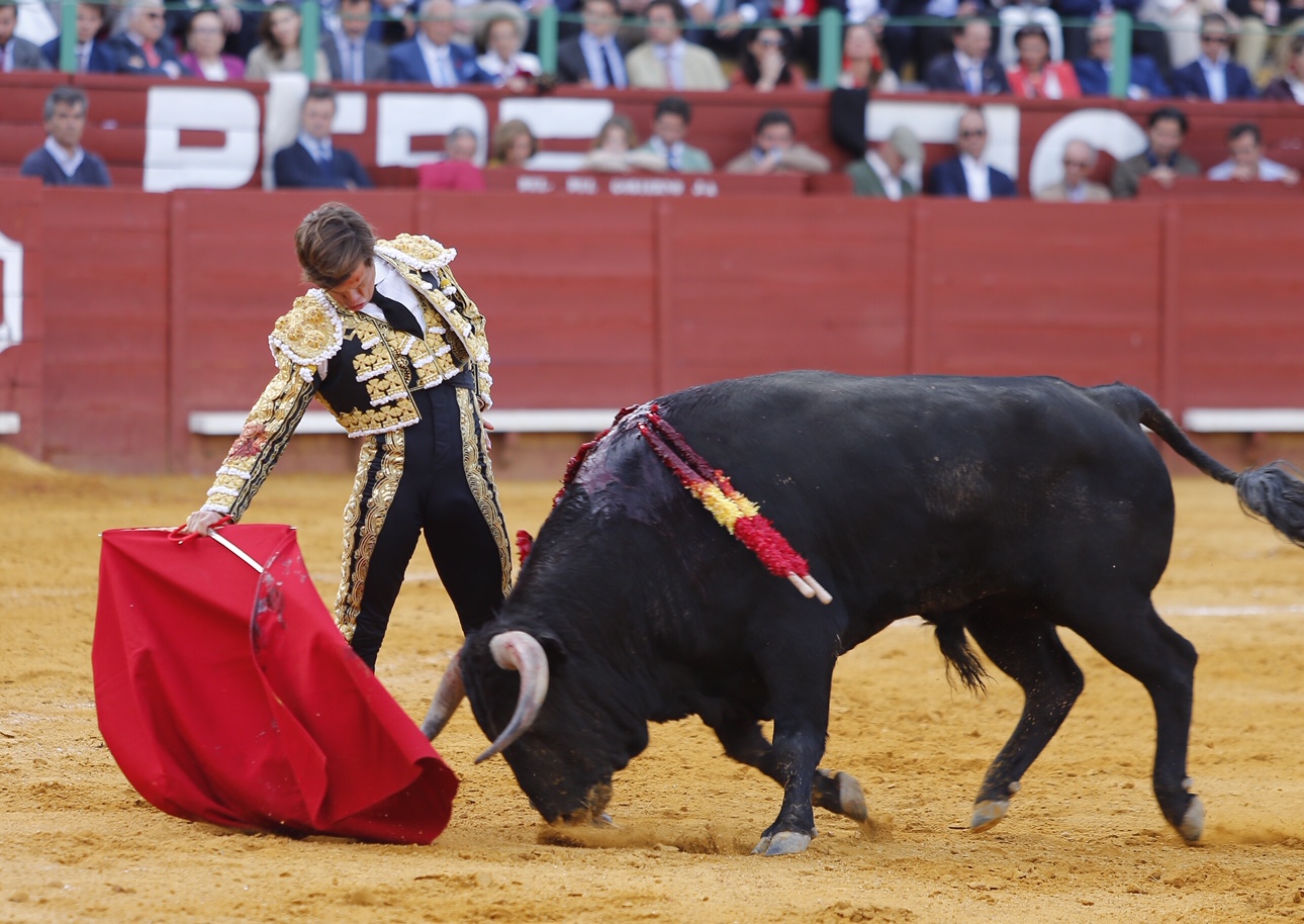 Jerez, sábado 18 de mayo de 2019