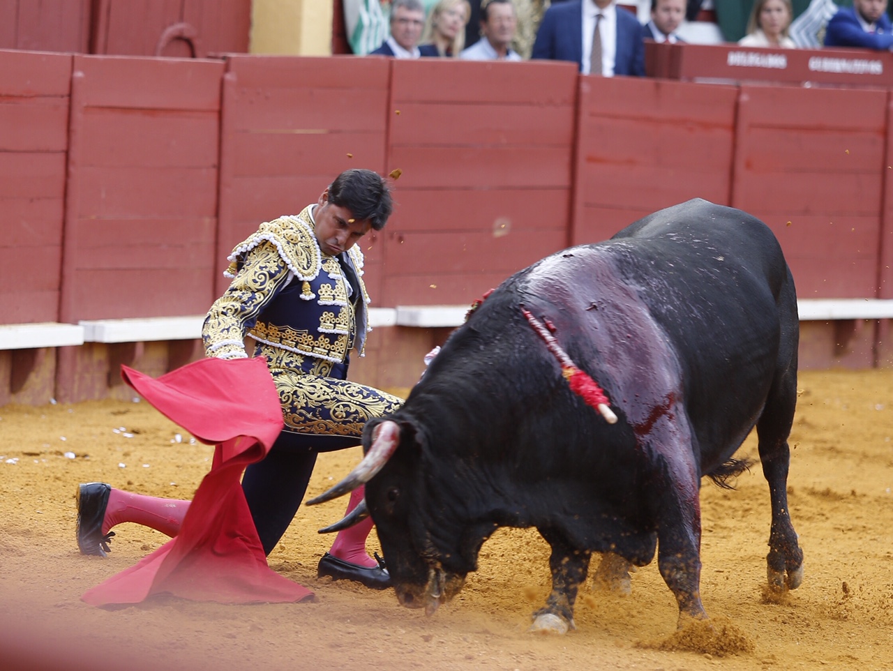 Jerez, sábado 18 de mayo de 2019