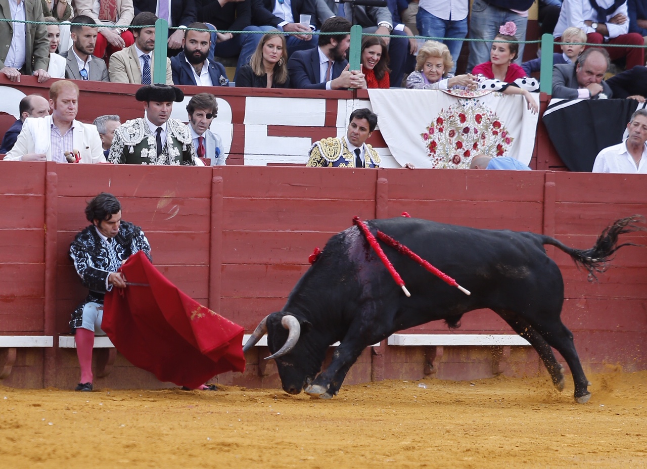 Jerez, sábado 18 de mayo de 2019