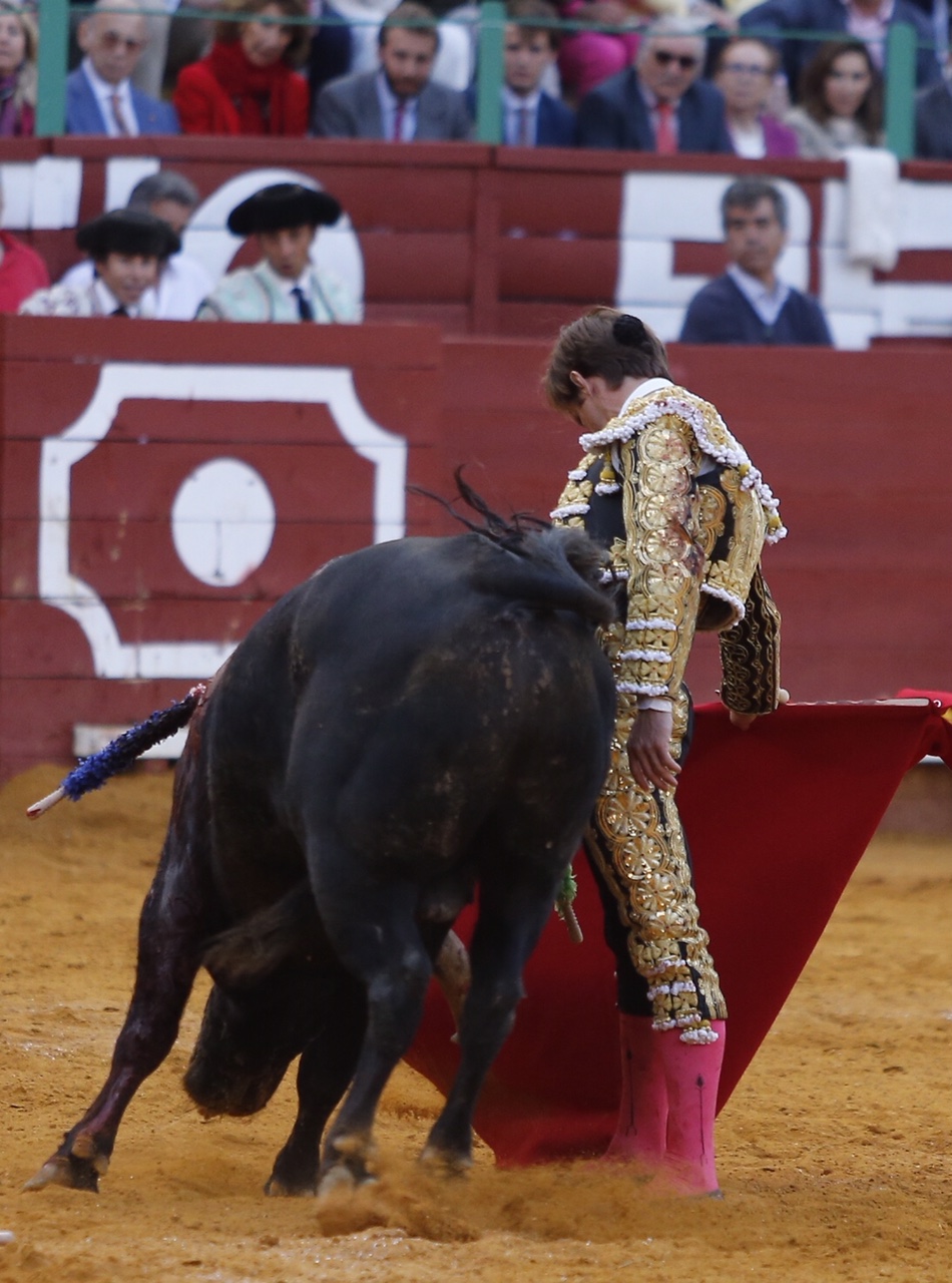 Jerez, sábado 18 de mayo de 2019