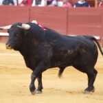 Jerez, sábado 18 de mayo de 2019