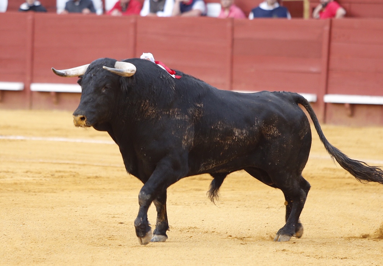 Jerez, sábado 18 de mayo de 2019