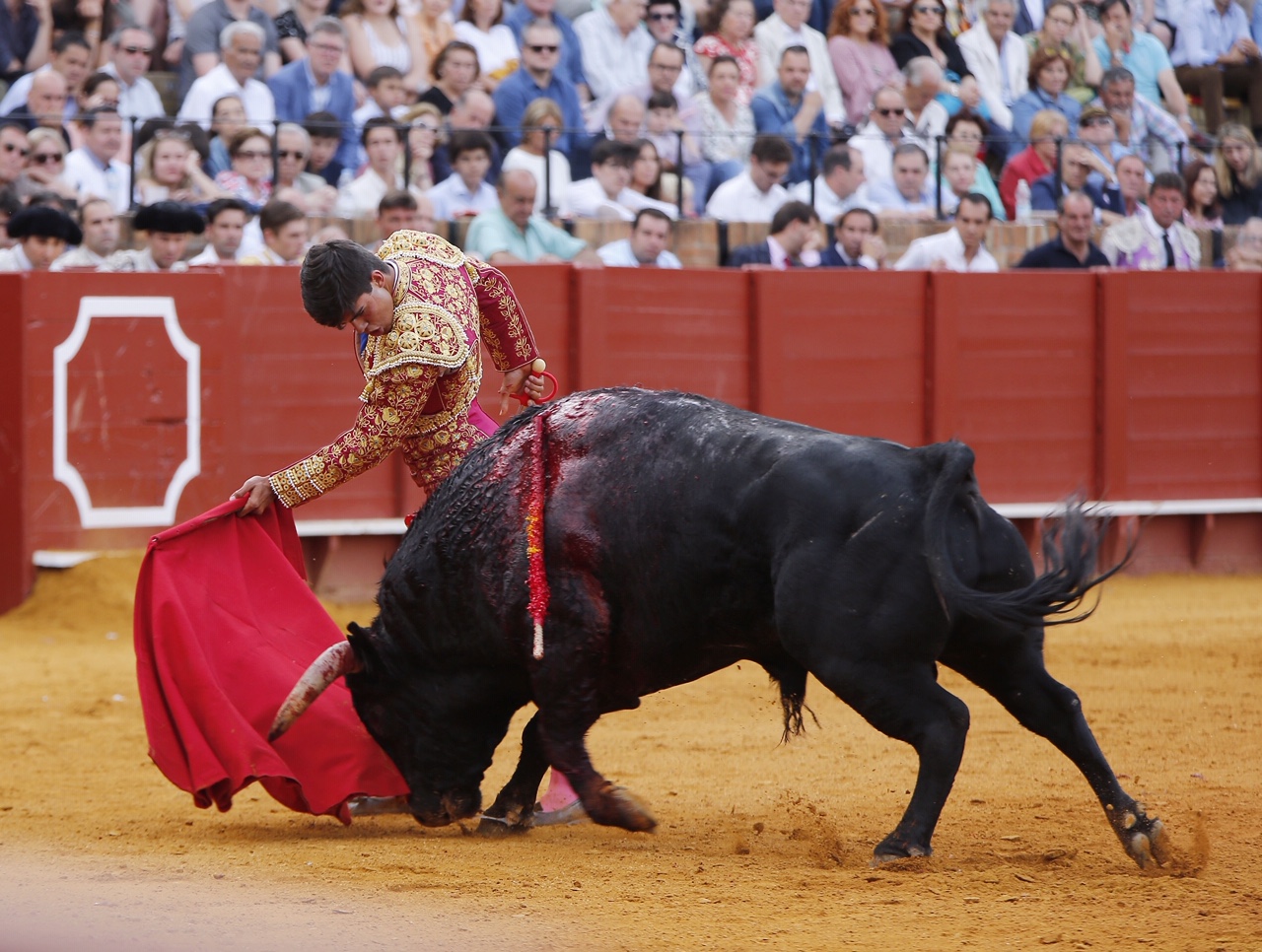 Sevilla, domingo 19 de mayo de 2019