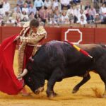 Sevilla, domingo 19 de mayo de 2019