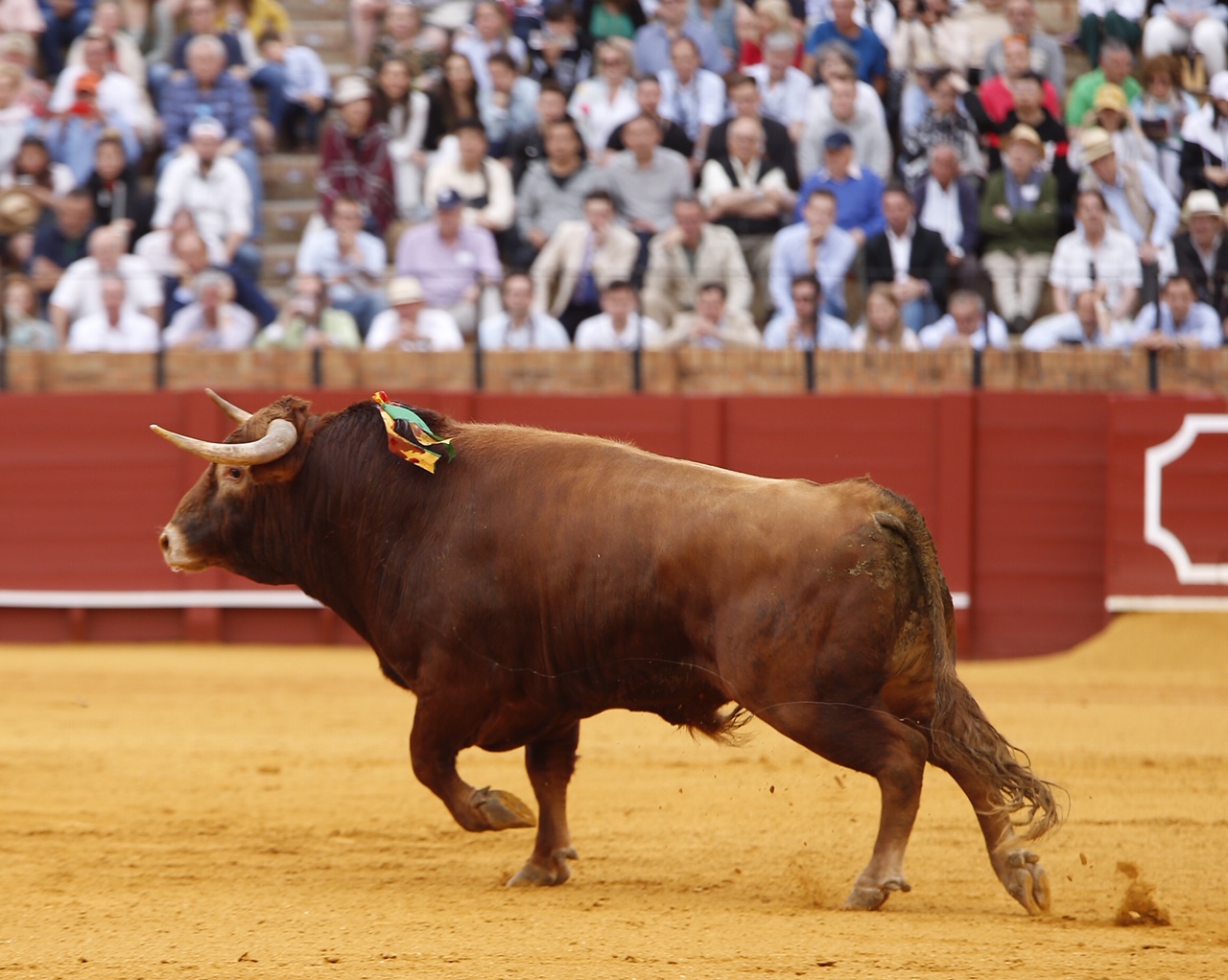 Sevilla, domingo 19 de mayo de 2019