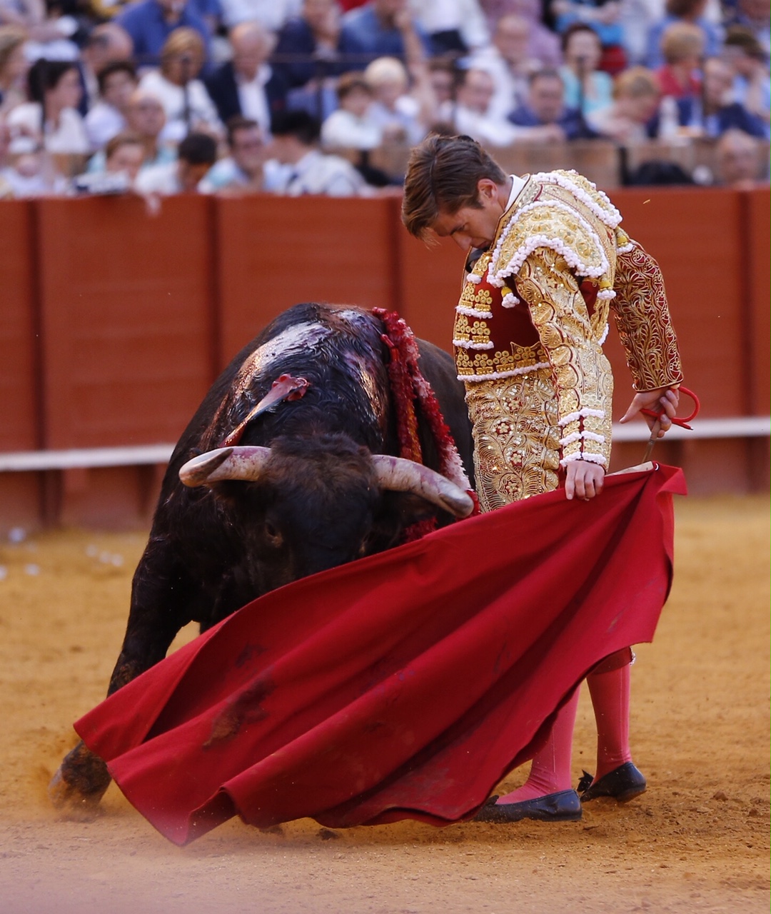 Sevilla, domingo 19 de mayo de 2019
