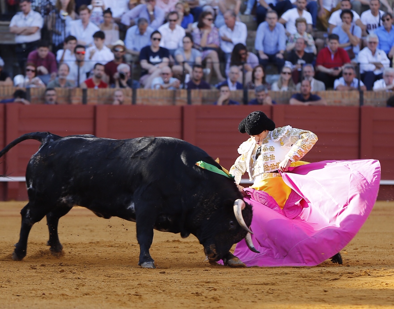 Sevilla, domingo 26 de mayo de 2019