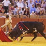 Sevilla, domingo 26 de mayo de 2019