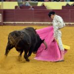Campo Pequeno, sábado 18 de mayo de 2019