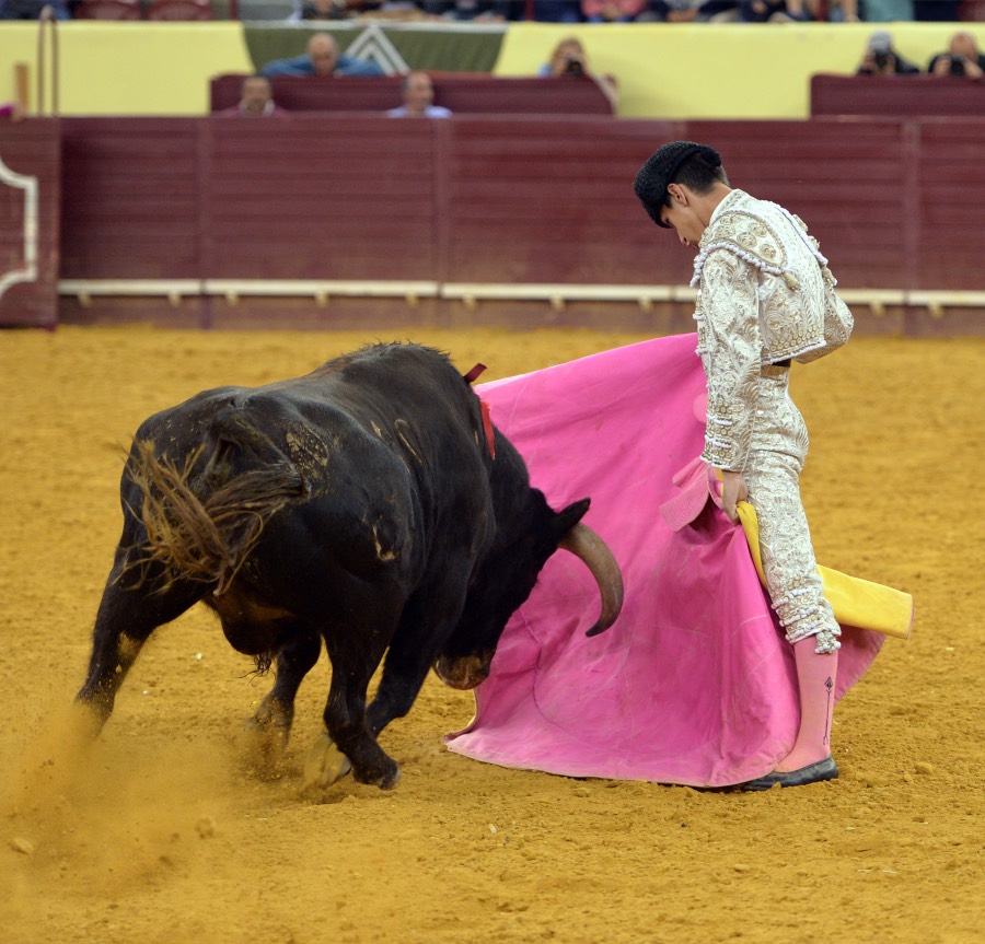 Campo Pequeno, sábado 18 de mayo de 2019