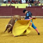 Campo Pequeno, sábado 18 de mayo de 2019