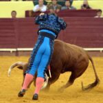 Campo Pequeno, sábado 18 de mayo de 2019