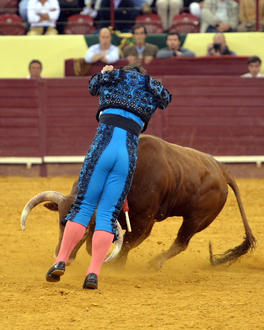 Campo Pequeno, sábado 18 de mayo de 2019