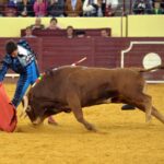 Campo Pequeno, sábado 18 de mayo de 2019