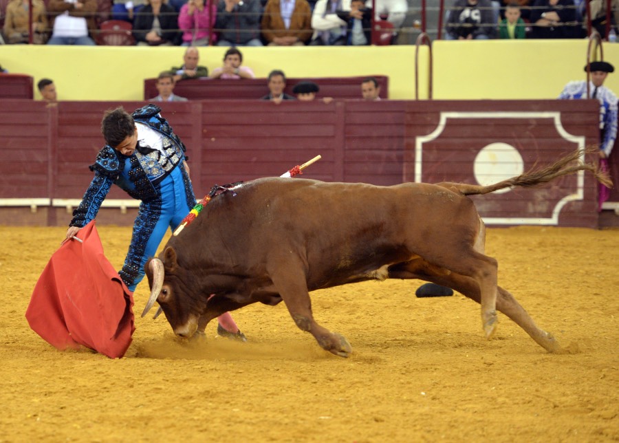 Campo Pequeno, sábado 18 de mayo de 2019