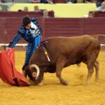Campo Pequeno, sábado 18 de mayo de 2019