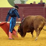 Campo Pequeno, sábado 18 de mayo de 2019