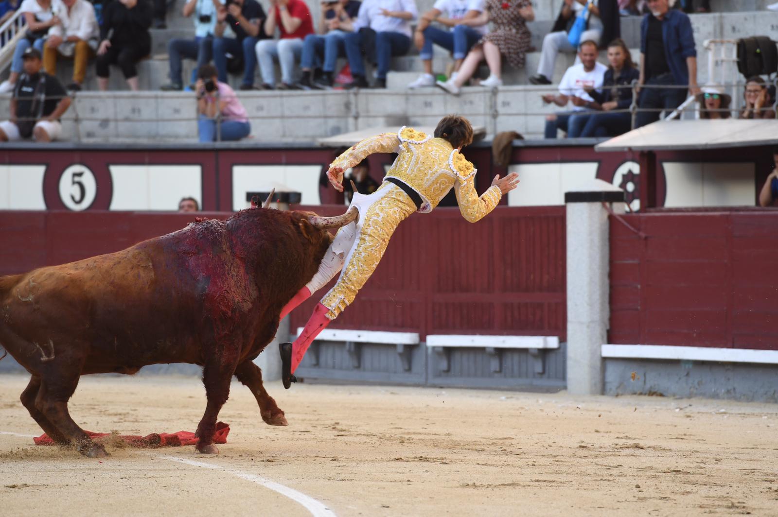 Cornada Juan Leal. Madrid, 25 de mayo de 2019