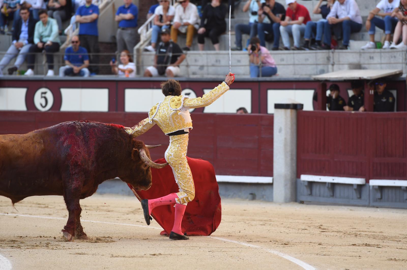 Cornada Juan Leal. Madrid, 25 de mayo de 2019