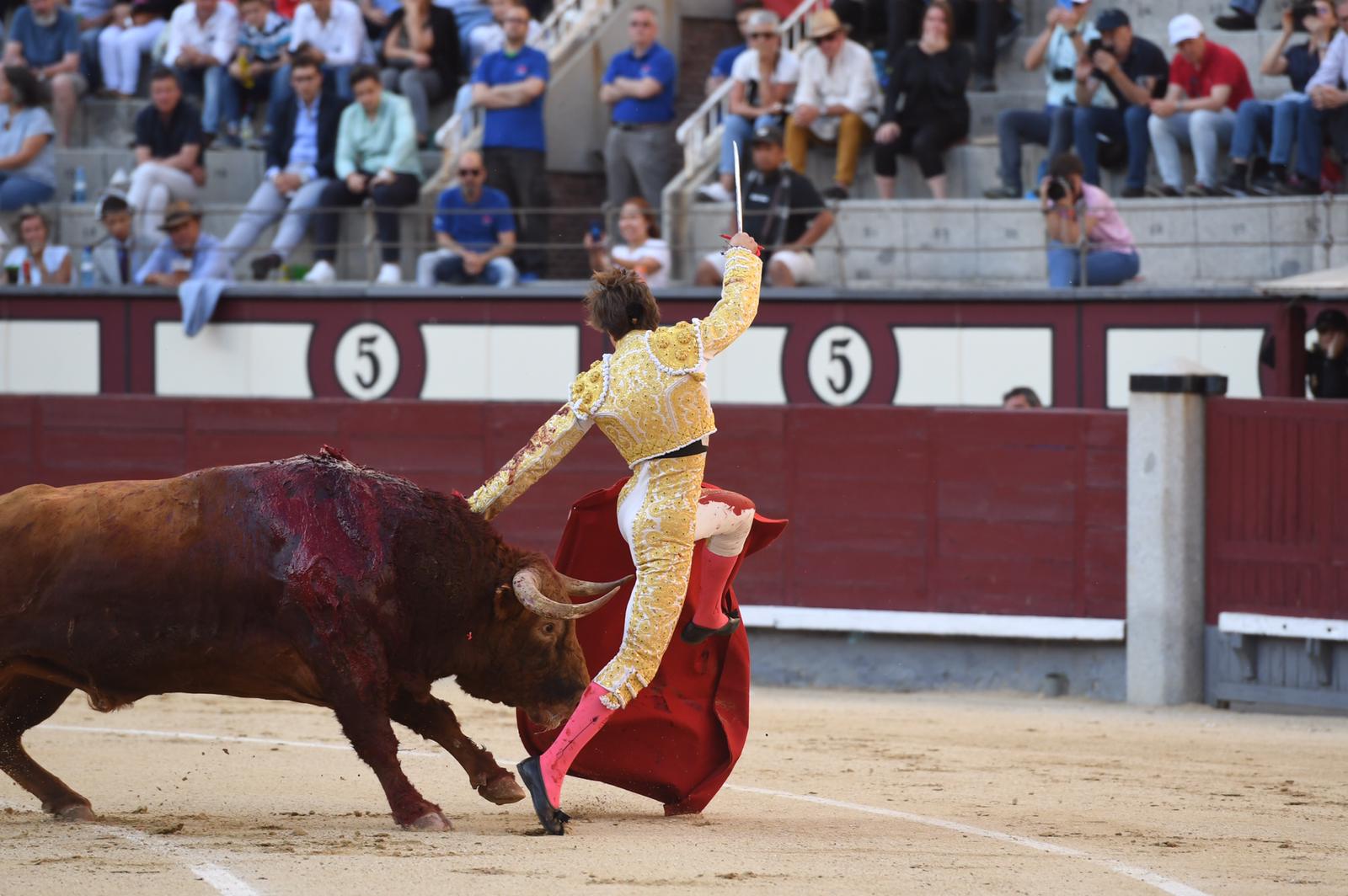 Cornada Juan Leal. Madrid, 25 de mayo de 2019