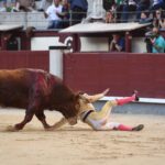 Cornada Juan Leal. Madrid, 25 de mayo de 2019