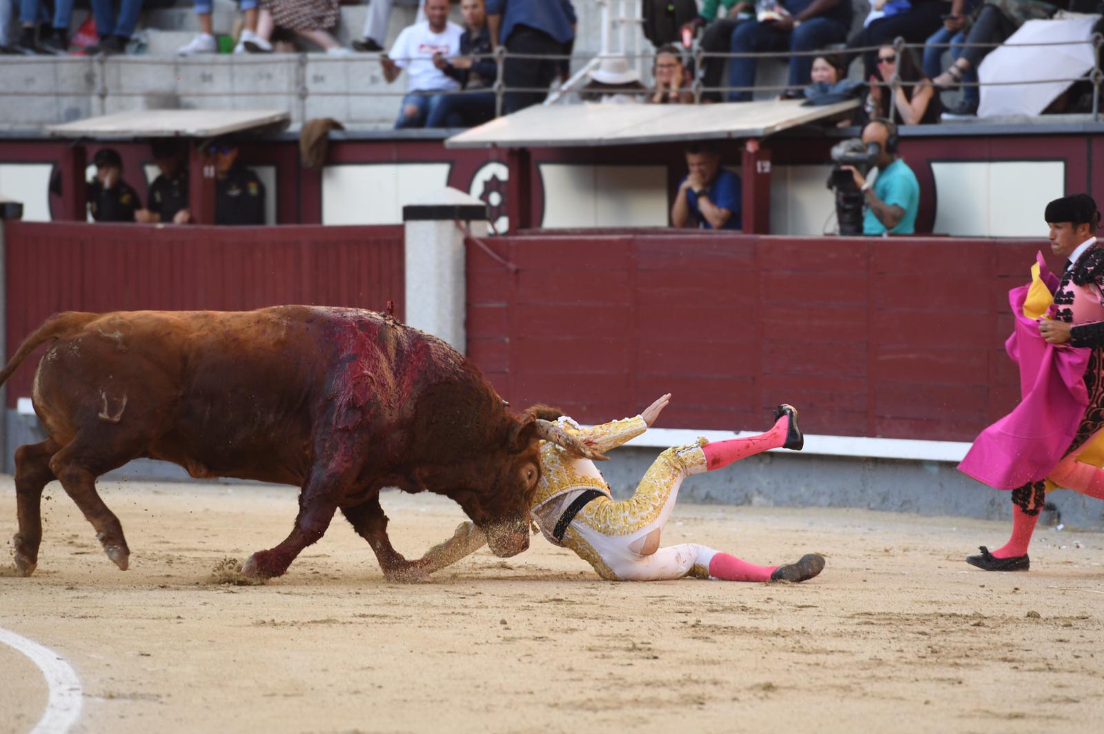 Cornada Juan Leal. Madrid, 25 de mayo de 2019