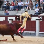 Cornada Juan Leal. Madrid, 25 de mayo de 2019