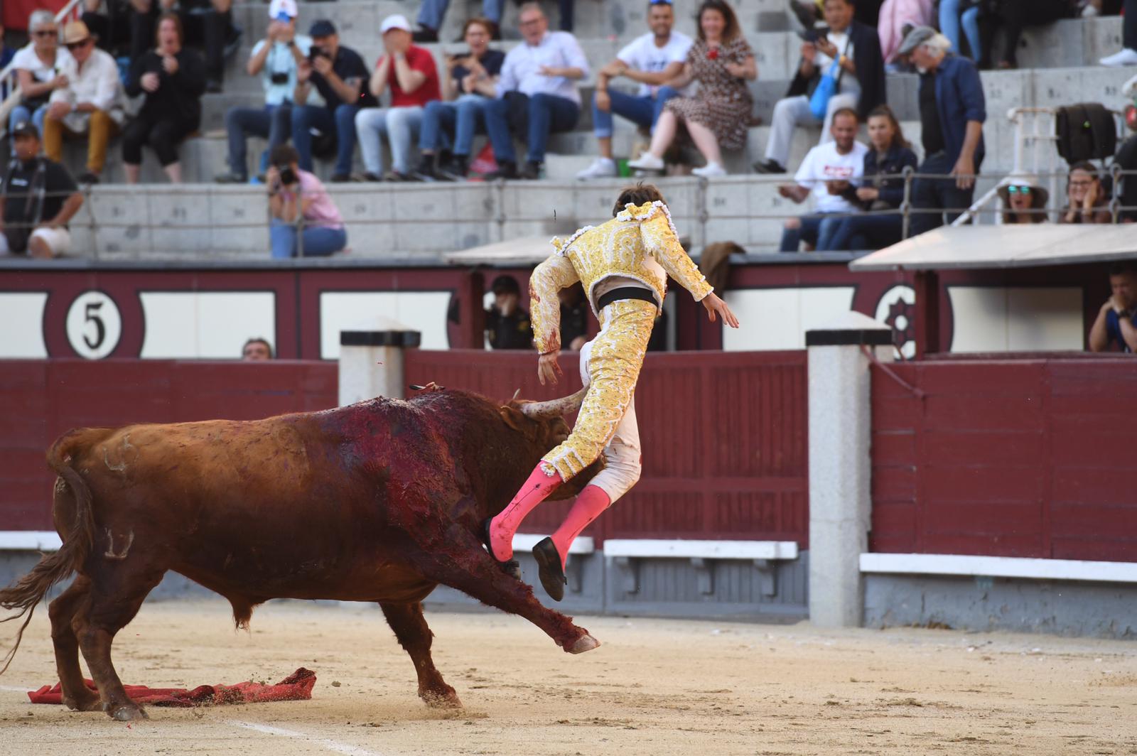 Cornada Juan Leal. Madrid, 25 de mayo de 2019