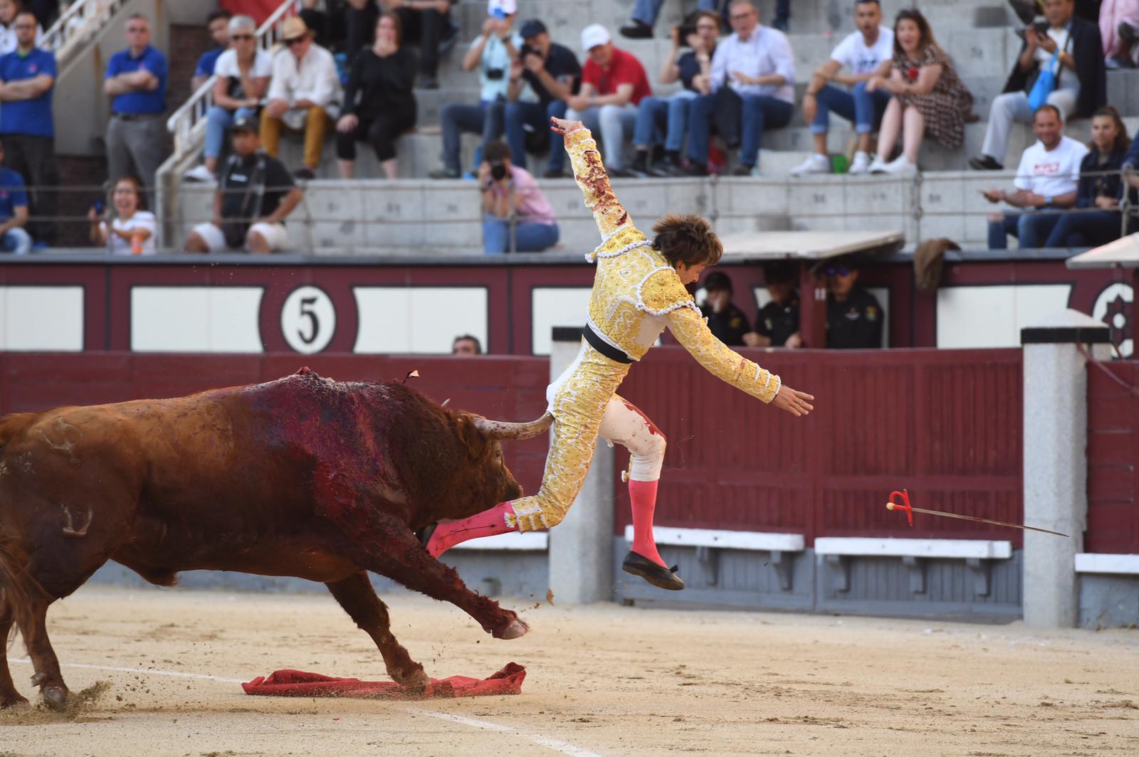 Cornada Juan Leal. Madrid, 25 de mayo de 2019