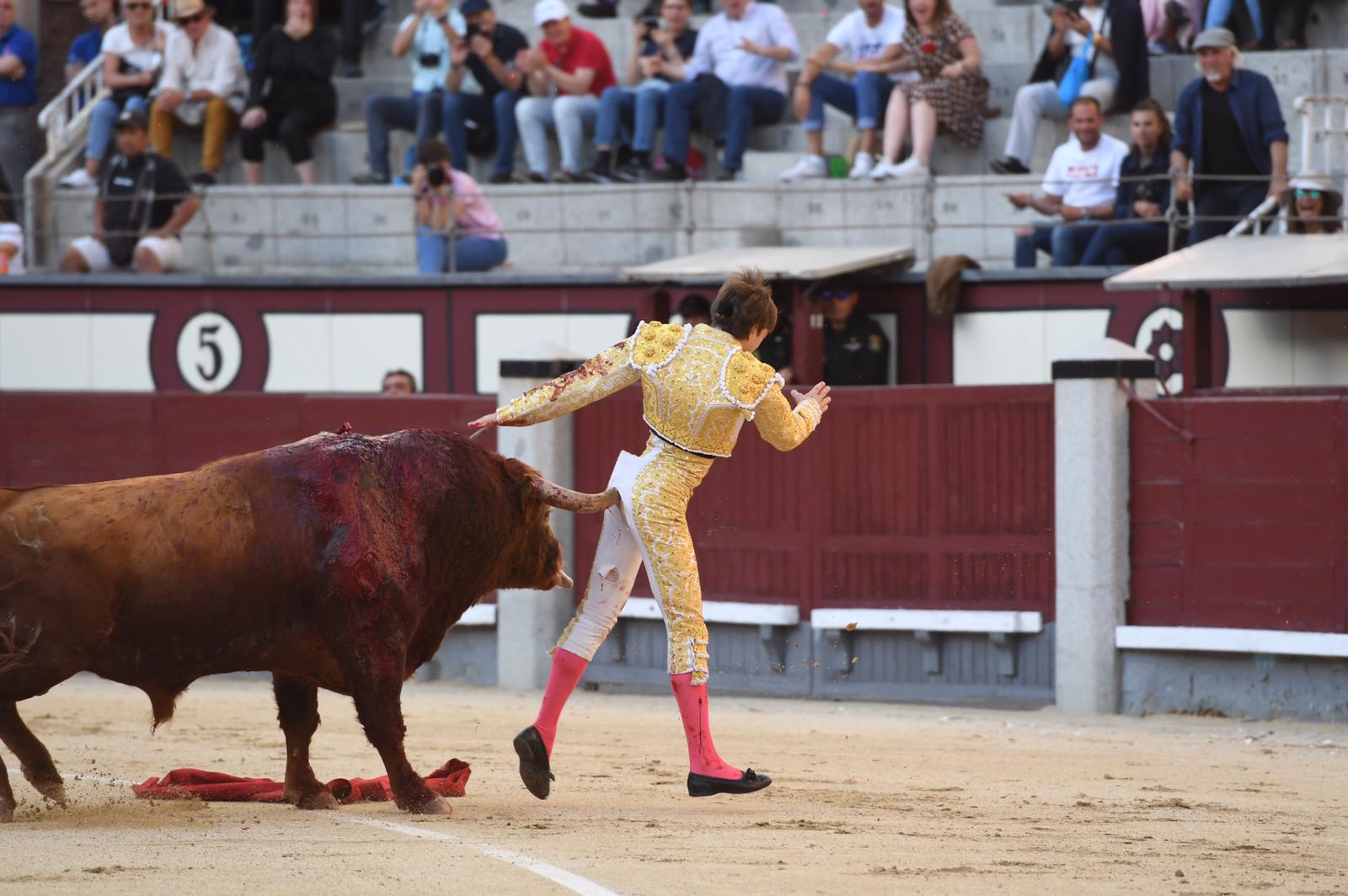 Cornada Juan Leal. Madrid, 25 de mayo de 2019