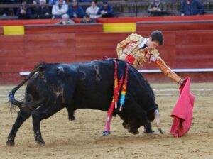 Cervera, durante su actuación de estas Fallas.