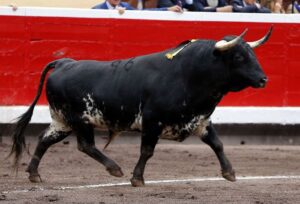 Bilbao - Corrida de toros - Viernes 24 de agosto de 2018