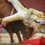 Madrid, sábado 18 de mayo de 2019