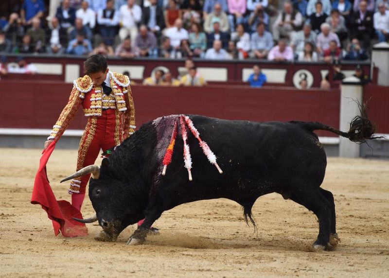 Gonzalo Caballero, corneado de gravedad en Madrid