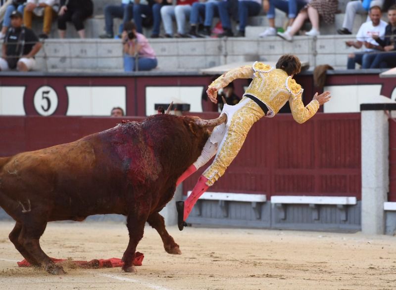 Juan Leal, cornada grave en región perianal de 25 cms