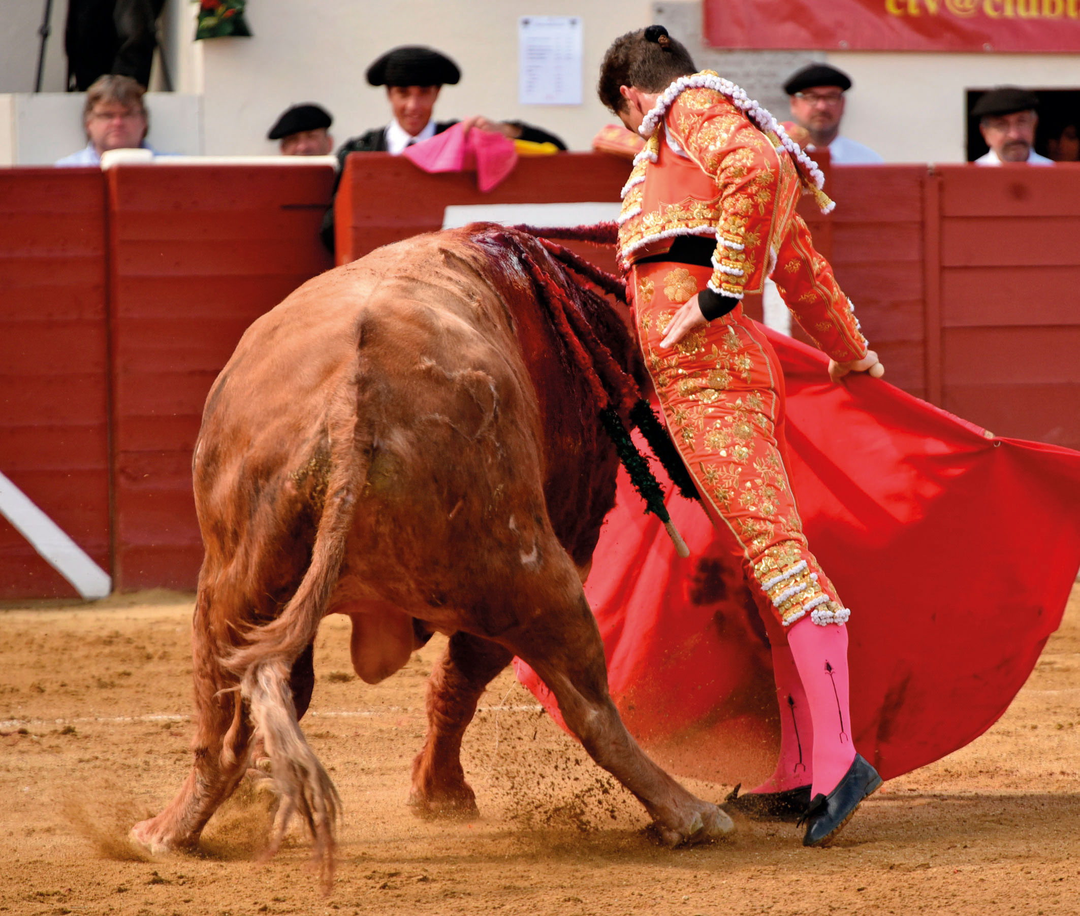“Francia capta enseguida el momento de cada torero”