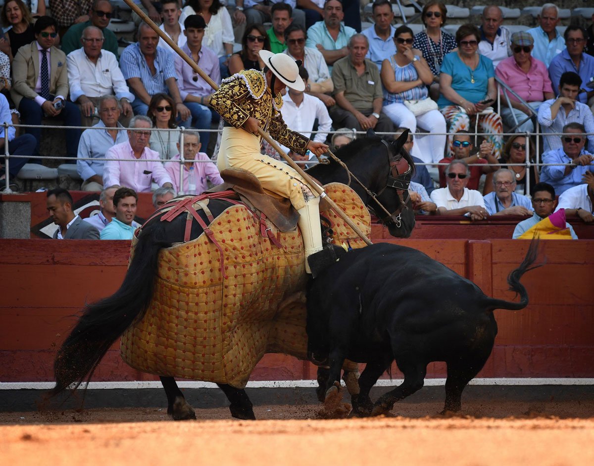 La cuadra de Alain Bonijol, en cuarentena hasta agosto