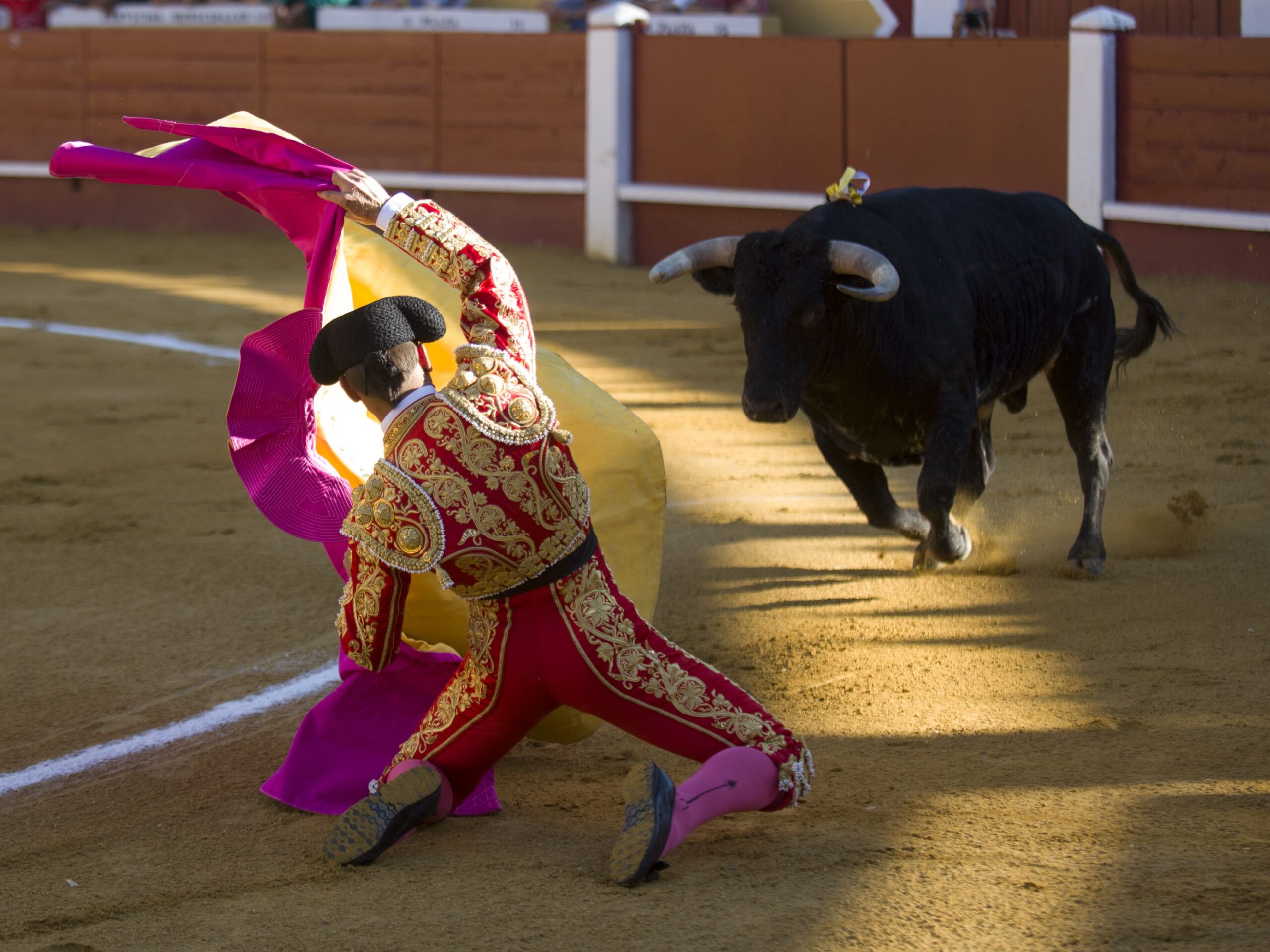 Dos leyendas del campo bravo, protagonistas de un fin de semana torista en Cuéllar