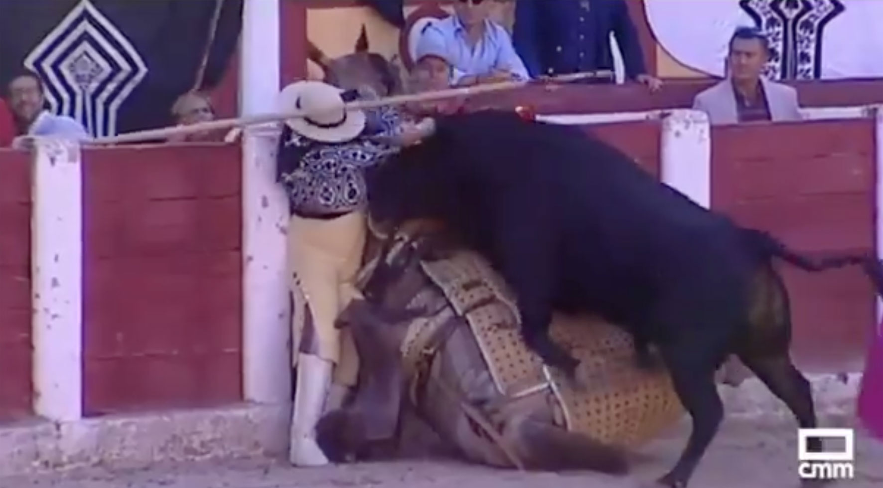 Un susto... ¡de caballo!