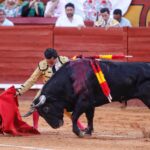 Algeciras, domingo 23 de junio de 2019