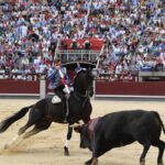 Madrid, sábado 8 de junio de 2019