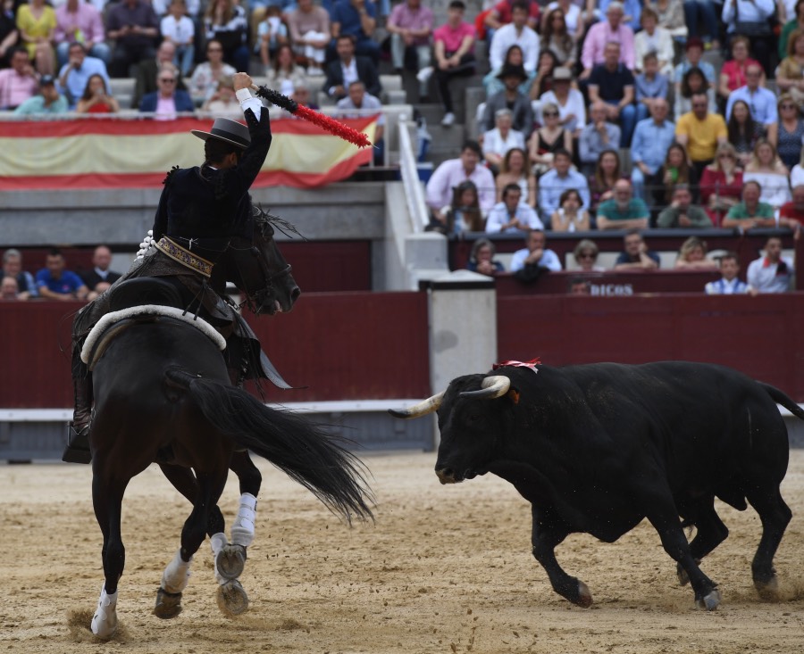 Madrid, sábado 8 de junio de 2019