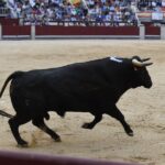 Madrid, sábado 8 de junio de 2019