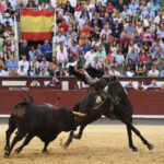Madrid, sábado 8 de junio de 2019