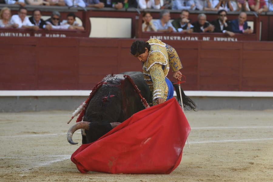 Madrid, domingo 9 de junio de 2019